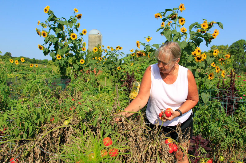 Community Garden Plots
