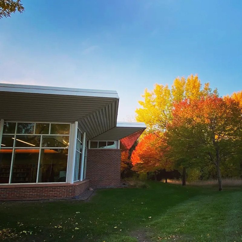 Tree with orange yellow and green leaves outside of a library building.