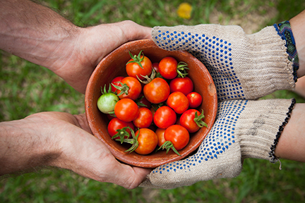 Two people holding a bowl of tomatoes.