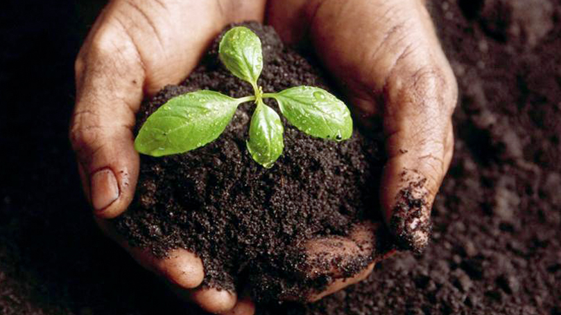 A picture of hands holding compost