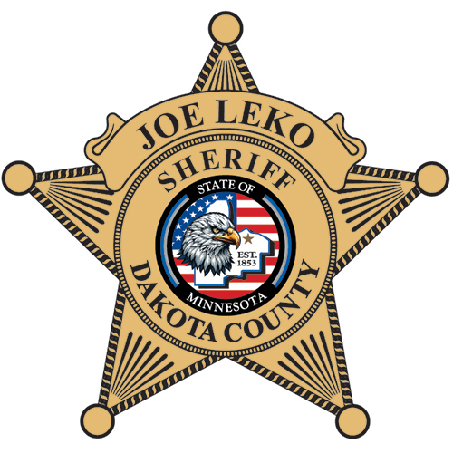 DC Sheriff Joe Leko Logo 4-Color