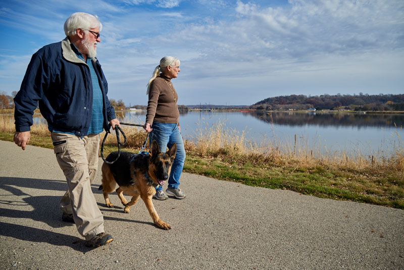 Two people walking a dog down a fall trail.