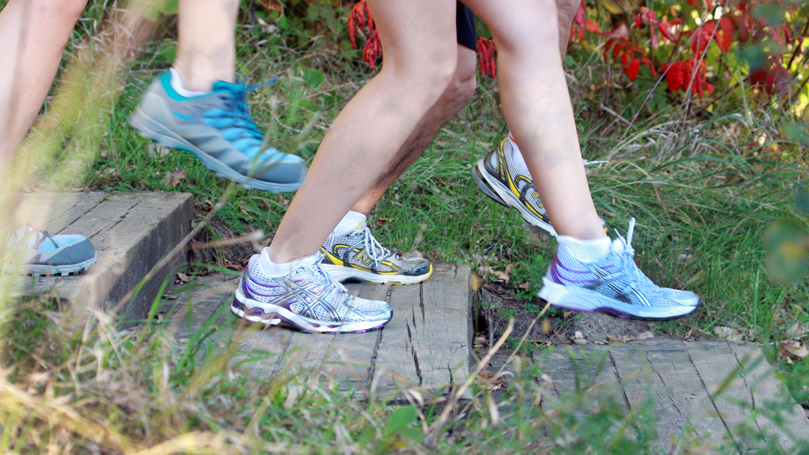 Group walking down a set of stairs on a trail. Only their legs are visable.