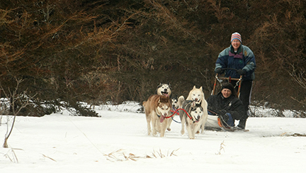 Two people being pulled on a sled by a team of dogs.