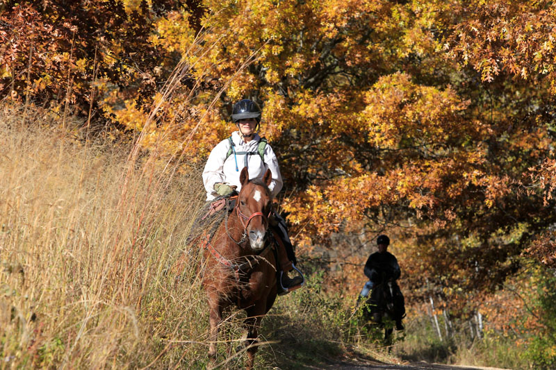 A person riding a horse.