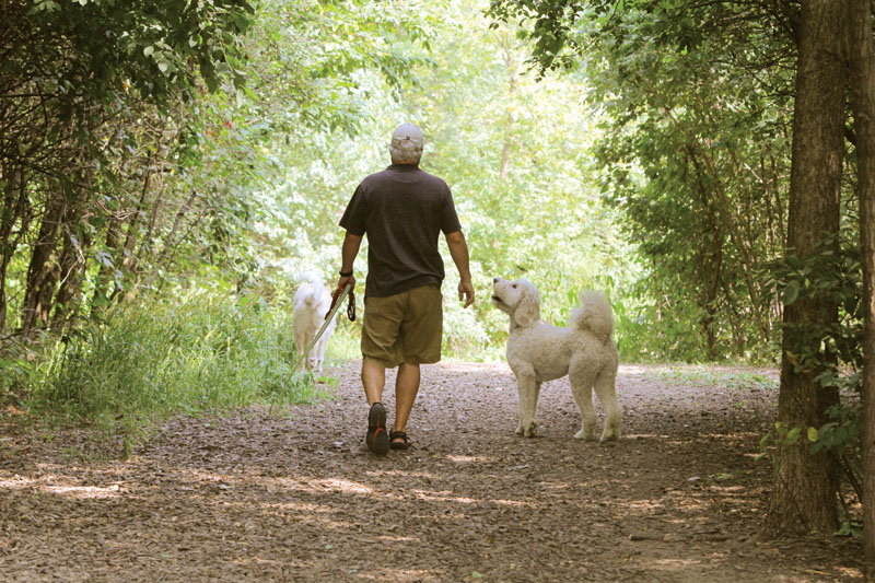 Man and dog walking on a trail in the woods