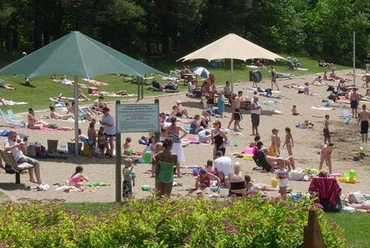 Many people on a sandy beach, with others in the water on a summer day.