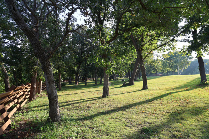 Scenic view of Spring Lake Park Reserve.