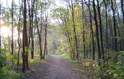 A natural trail at Thompson County Park.