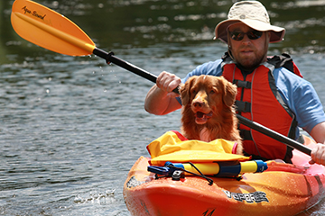 A man in a kayak with his dog.